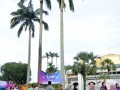 Tn dsc 7381